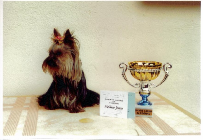 Teddy des Hauts du Gouardey